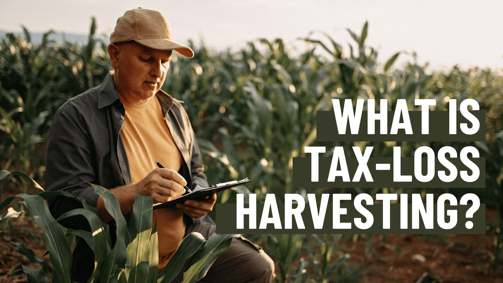 Man in field with text: What is tax-loss harvesting?